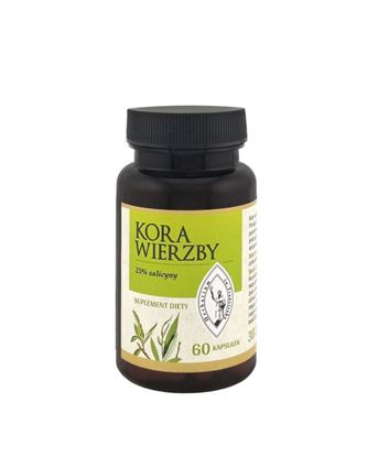 Obrazek Kora Wierzby 60 kaps.